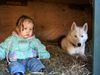 Siberian Husky Foto: Kinder und S. Husky (ID 18710) Siberian Husky Hund