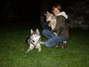 Siberian Husky Foto: Steffi mit Rocky und Mexx (ID 42373) Siberian Husky Hund