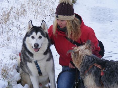 Siberian Husky Frodo und Micky mit Frauchen im Schnee