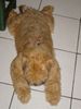 Irischer Soft Coated Wheaten Terrier Foto: The Wheaten Carpet (ID 9506) Irischer Soft Coated Wheaten Terrier Hund