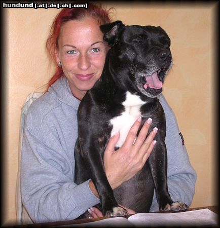 Staffordshire Bullterrier Hunde Foto 14612 Staffordshire Bullterrier Frauchen Sabine mit Staffbull Brenda
