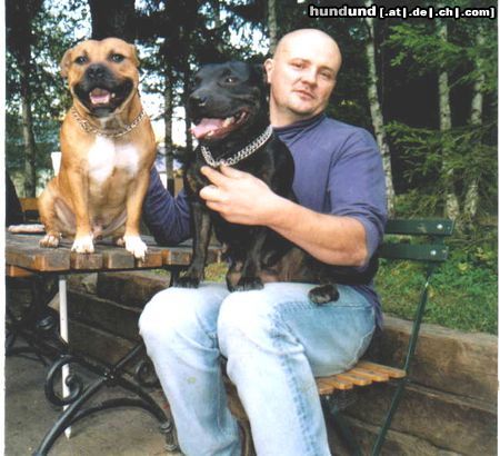Staffordshire Bullterrier