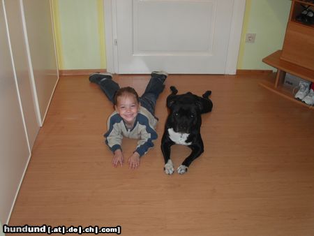 Staffordshire Bullterrier Hunde Foto 10925 Staffordshire Bullterrier Murphy und Denise