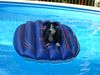 Staffordshire Bullterrier Foto: Bamboocha relaxt im Pool (ID 33135) Staffordshire Bullterrier Hund