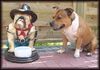 Staffordshire Bullterrier Foto: Ups ein neues Aufpasser (ID 13103) Staffordshire Bullterrier Hund