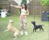 Staffordshire Bullterrier Foto: ich und meine wauzis.. (ID 13120) Staffordshire Bullterrier Hund