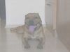 Staffordshire Bullterrier Foto: Gio (ID 9925) Staffordshire Bullterrier Hund