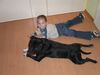 Staffordshire Bullterrier Foto: Murphy und Denise (ID 10926) Staffordshire Bullterrier Hund
