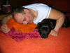 Staffordshire Bullterrier Foto: Männlein und Weiblein (ID 35617) Staffordshire Bullterrier Hund