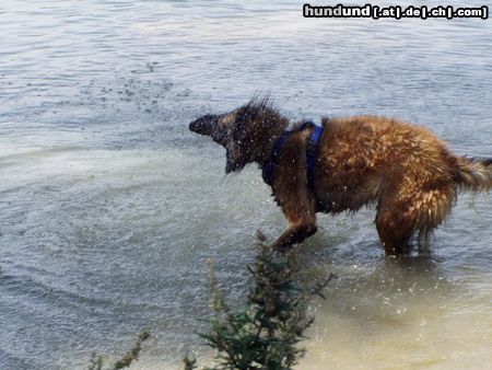 Tervueren Hunde Foto 5752 Tervueren Baden ist schön