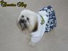 Tibet-Terrier Foto: Tibet Terrier Santos aus Bayern (ID 37178) Tibet-Terrier Hund