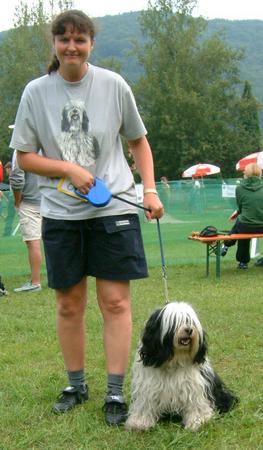 Tibet-Terrier Hunde Foto 812 Tibet-Terrier Tibet-Terrier aufgenommen beim 1. European Agility Open 2002 in Graz