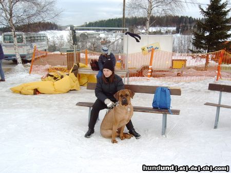 Tosa Hunde Foto 20751 in höherer Auflösung ansehen Tosa Aika lernt schiefahren