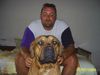 Tosa Foto: alco si andrei 2 (ID 18799) Tosa Hund