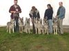 Tschechoslowakischer Wolfhund Hund