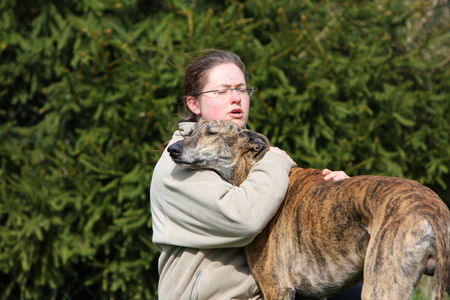 Ungarischer Windhund Versenyfuto Csatar