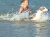 Ungarischer Windhund Hund