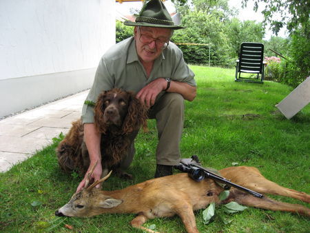 Deutscher Wachtelhund Pasco von OfenauerbergErfolgreiche Nachsuche