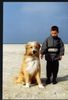 Wäller Hund