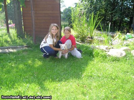 Weißer Schweizer Schäferhund Hunde Foto 13452 Weißer Schweizer Schäferhund Babyalarm