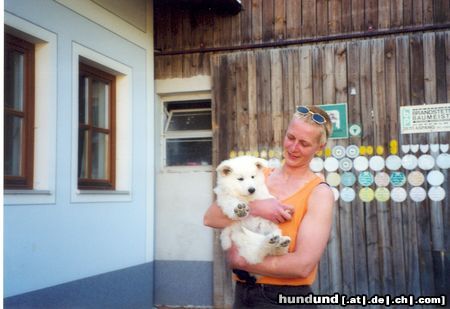 Weißer Schweizer Schäferhund Hunde Foto 7630 Weißer Schweizer Schäferhund Jessy+ Besitzerin