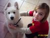 Weißer Schweizer Schäferhund Foto: ein hübsches Paar (ID 30488) Weißer Schweizer Schäferhund Hund