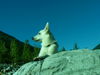 Weißer Schweizer Schäferhund Foto: Jacky im Urlaub (ID 39982) Weißer Schweizer Schäferhund Hund