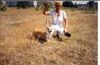 Welsh Corgi Pembroke Foto: mł.ch.pl,ch.pl,3Xbog,cwc (ID 16319) Welsh Corgi Pembroke Hund