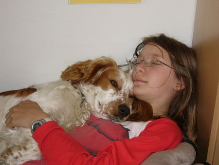 Welsh Springer Spaniel Hier unser liebes Lizahündeli!!!