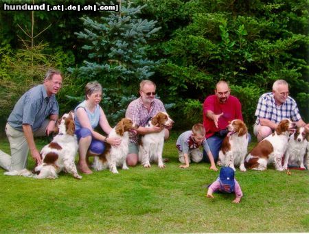 Welsh Springer Spaniel Welpentreffen am 4. September 2004