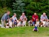 Welsh Springer Spaniel Hund