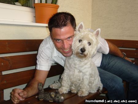 West Highland White Terrier Hunde Foto 18755 West Highland White Terrier Cinderella & Friend