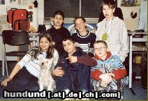 West Highland White Terrier Hunde Foto 17492 West Highland White Terrier Unser Schulhund