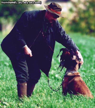 Westsibirischer Laika Hunde Foto 19955 Westsibirischer Laika Jagd- Laika apportiert brav und ohne Knautschen den Fasan für die gute Küche