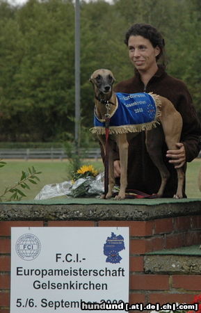 Whippet Devaj Tara Europa Rennsiegerin