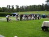 Whippet Foto: Whippets in Heidenau (ID 14067) Whippet Hund