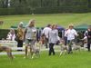 Whippet Foto: Whippets (ID 14089) Whippet Hund