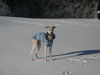 Whippet Foto: Curly von Ma-Rib al Sana-As mit 7 Monaten (ID 41000) Whippet Hund