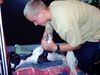 Whippet Foto: Tylko Ty Irish Whisky (ID 30358) Whippet Hund