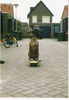 Whippet Foto: zullen we dan skateboarden? (ID 31130) Whippet Hund