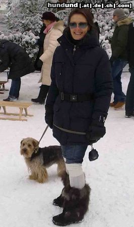 Yorkshire Terrier Gismo an der Außenalster