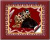 Yorkshire Terrier Foto: Das sind Casandra & Casanova ! (ID 14838) Yorkshire Terrier Hund