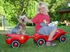 Yorkshire Terrier Foto: Jasmine und Nicki 12 Jahre alt (ID 22777) Yorkshire Terrier Hund