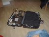 Yorkshire Terrier Foto: Shadow will mit in den Urlaub (ID 7702) Yorkshire Terrier Hund