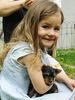 Yorkshire Terrier Foto: Jewel und Robin (ID 3440) Yorkshire Terrier Hund