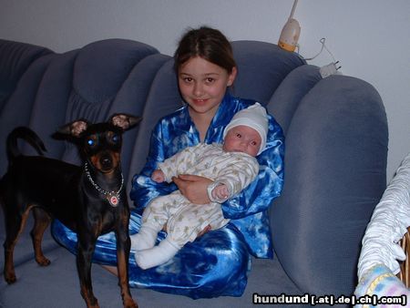 Zwergpinscher Hunde Foto 17066 Zwergpinscher Ares&Kinder