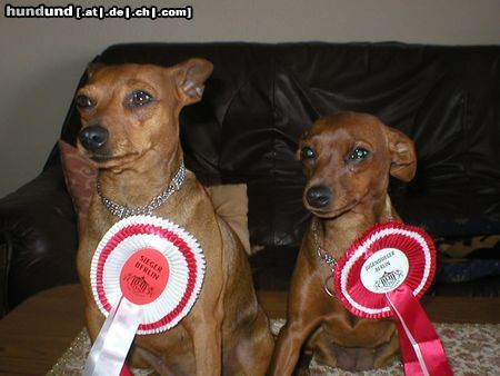 Zwergpinscher Hunde Foto 3095 Zwergpinscher Unser Traumteam Sierger und Jugendsieger Berlin 2003