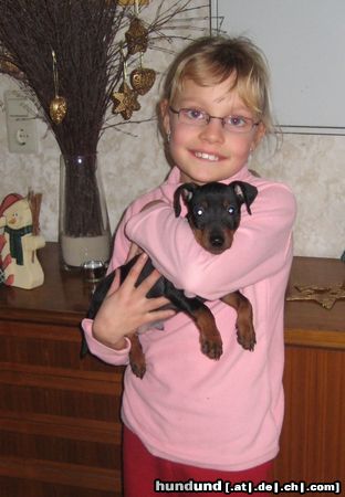 Zwergpinscher Toni von der Rheinebene mit seiner Freundin Seline - Dezember 2009