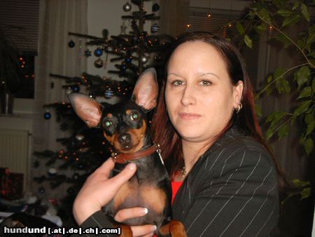 Zwergpinscher Hunde Foto 17341 in höherer Auflösung ansehen Zwergpinscher Lucky