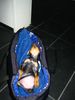 Zwergpinscher Foto: Aicha beim Schlafen (ID 6720) Zwergpinscher Hund